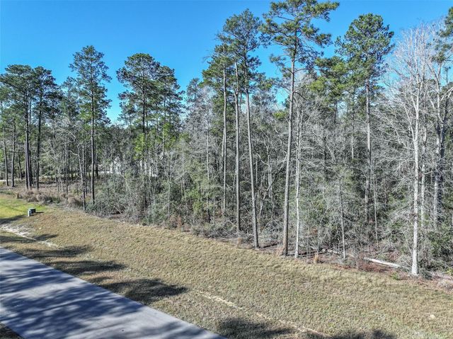 15268 Forest Grove Drive, Willis, TX 77378