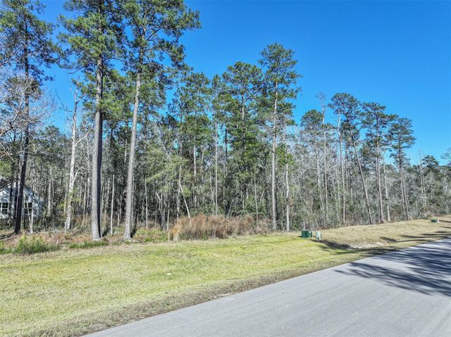 15268 Forest Grove Drive, Willis, TX 77378