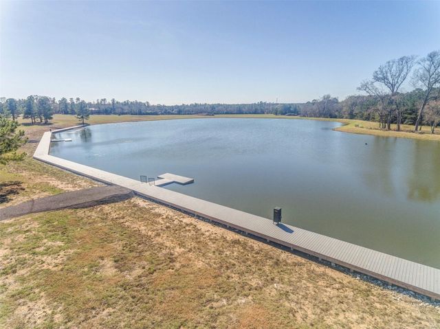 15268 Forest Grove Drive, Willis, TX 77378