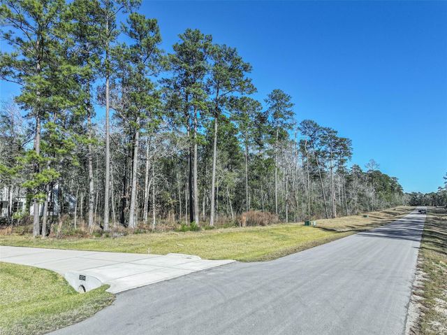 15268 Forest Grove Drive, Willis, TX 77378