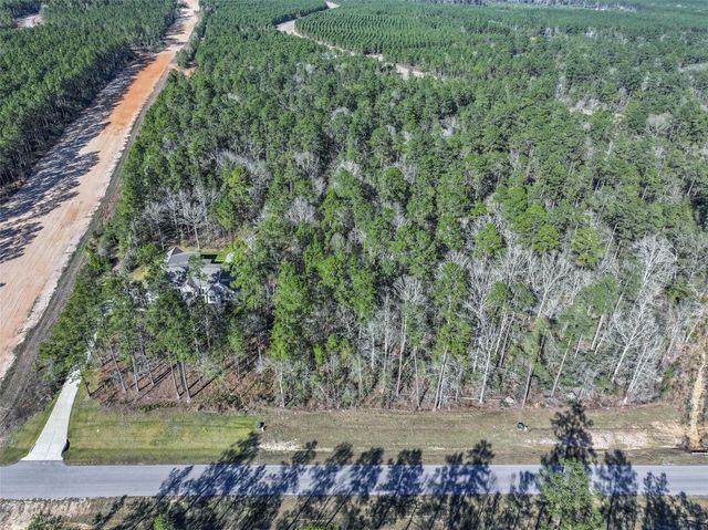 15268 Forest Grove Drive, Willis, TX 77378