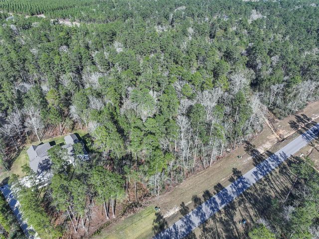 15268 Forest Grove Drive, Willis, TX 77378