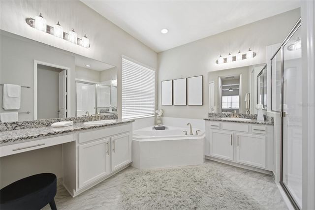 30423 TRISTANIA COURT, Wesley Chapel, FL 33543