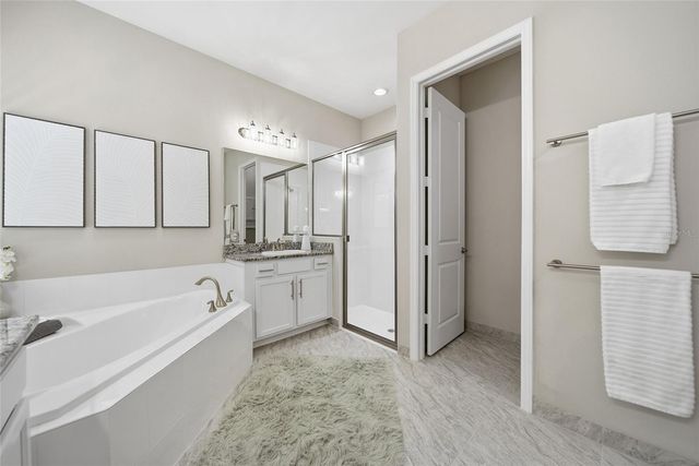 30423 TRISTANIA COURT, Wesley Chapel, FL 33543