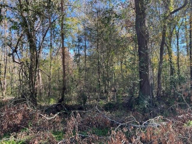 000 Lazy Creek Drive, New Caney, TX 77357