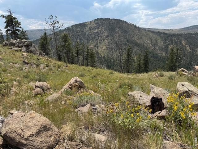 865 Redstone Drive, Bellvue, CO 80512