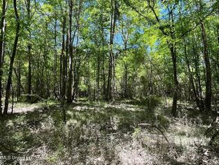 1 Kahnville Road, Gloster, MS 39638