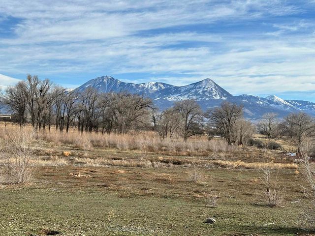 9556 3160 Road, Hotchkiss, CO 81419