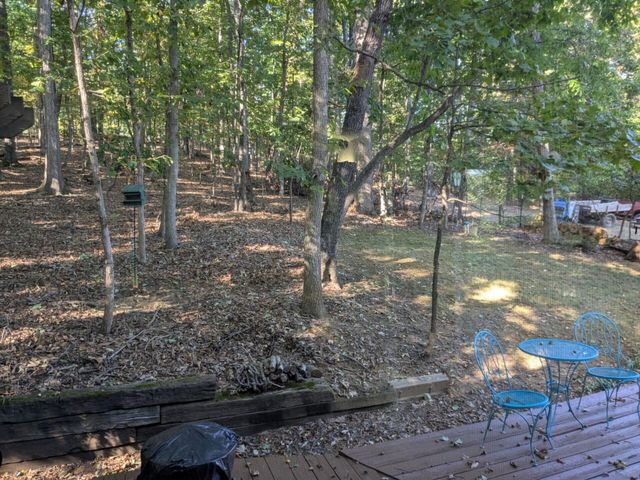 1046 Mountain Pass RD, Blue Ridge, VA 24064