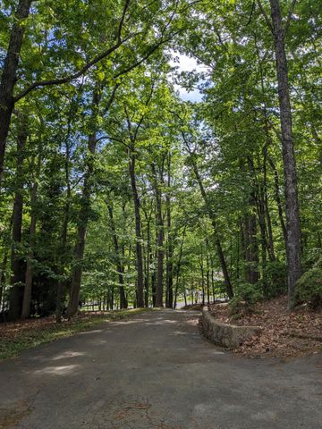 1046 Mountain Pass RD, Blue Ridge, VA 24064