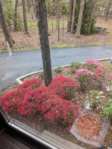 1046 Mountain Pass RD, Blue Ridge, VA 24064