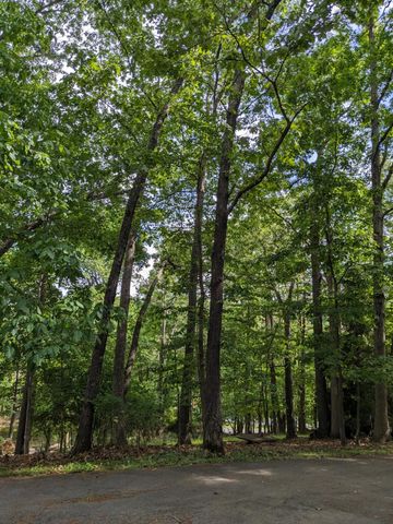 1046 Mountain Pass RD, Blue Ridge, VA 24064