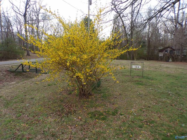 105 County Road 518, Moulton, AL 35650