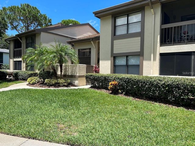 333 WOODLAKE WYNDE, Oldsmar, FL 34677