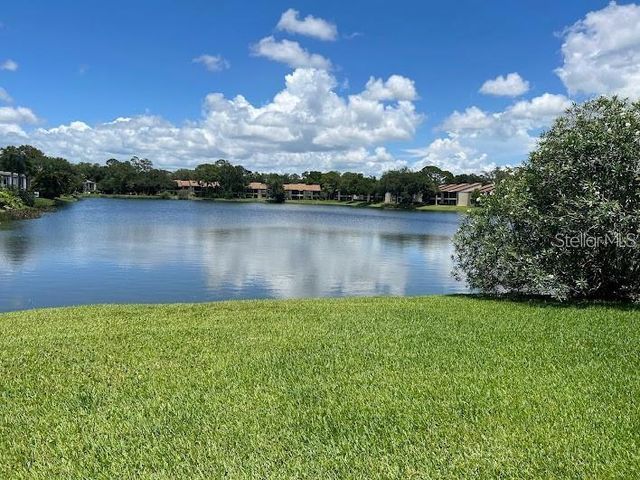 333 WOODLAKE WYNDE, Oldsmar, FL 34677