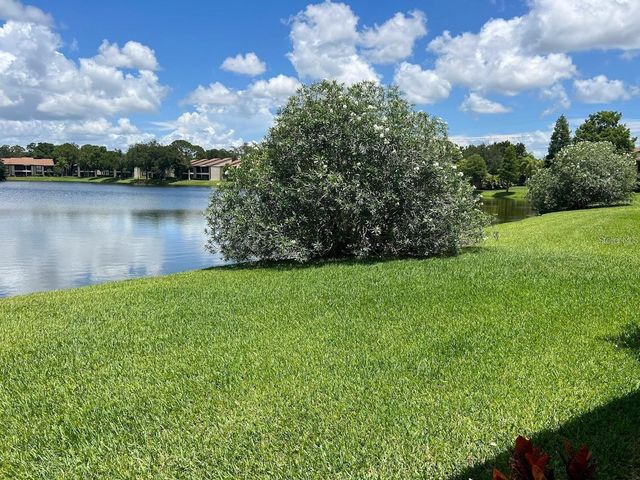 333 WOODLAKE WYNDE, Oldsmar, FL 34677