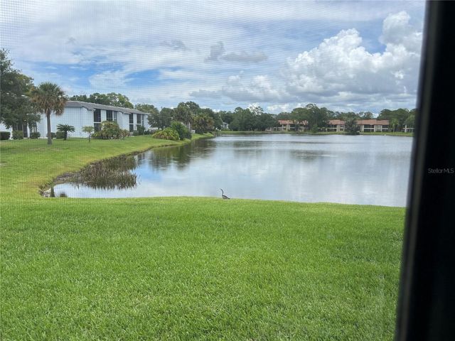 333 WOODLAKE WYNDE, Oldsmar, FL 34677