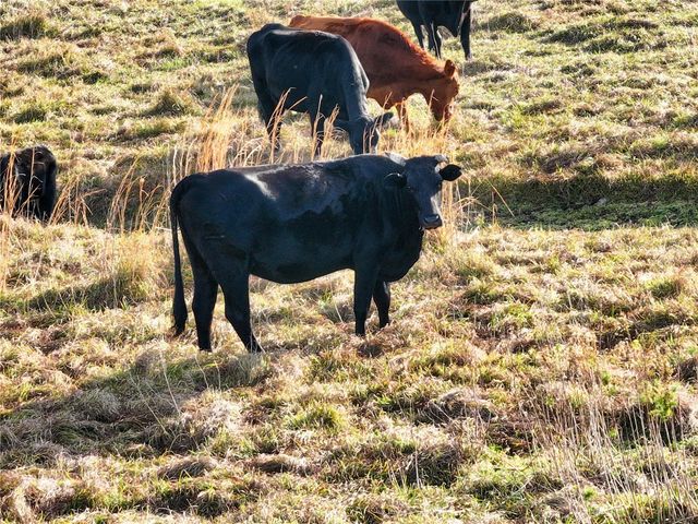 8765 DAYBREAK STREET, Sarasota, FL 34241