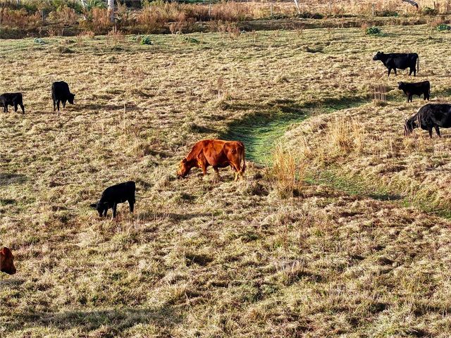 8765 DAYBREAK STREET, Sarasota, FL 34241