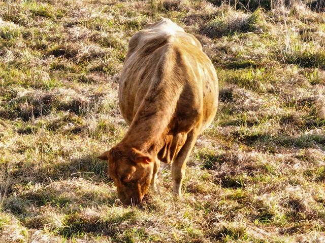 8765 DAYBREAK STREET, Sarasota, FL 34241