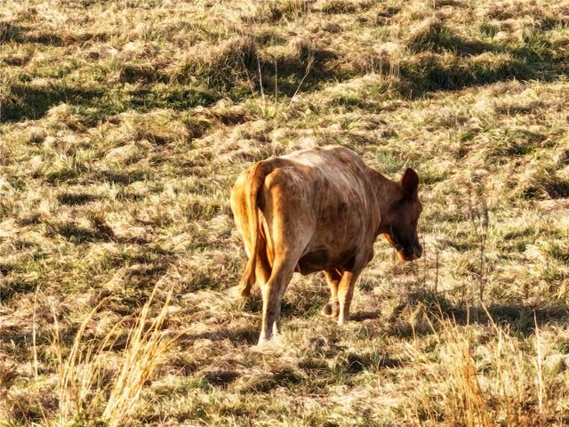 8765 DAYBREAK STREET, Sarasota, FL 34241