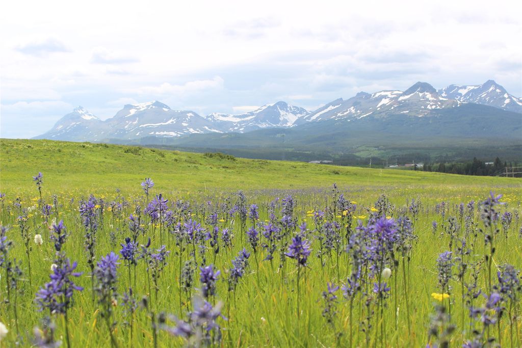 21001 Us Highway 2, East Glacier Park, MT 59434