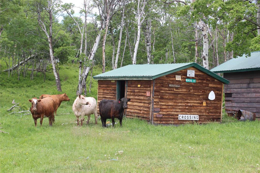 21001 Us Highway 2, East Glacier Park, MT 59434 photo 18