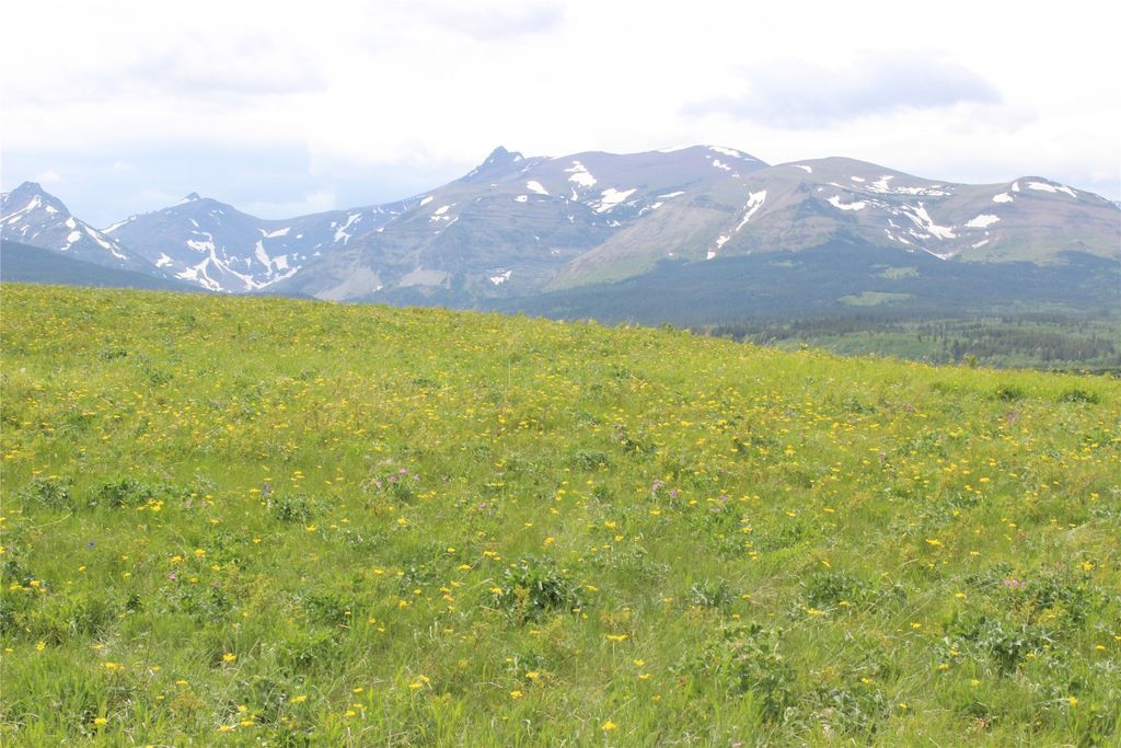 21001 Us Highway 2, East Glacier Park, MT 59434 photo 22