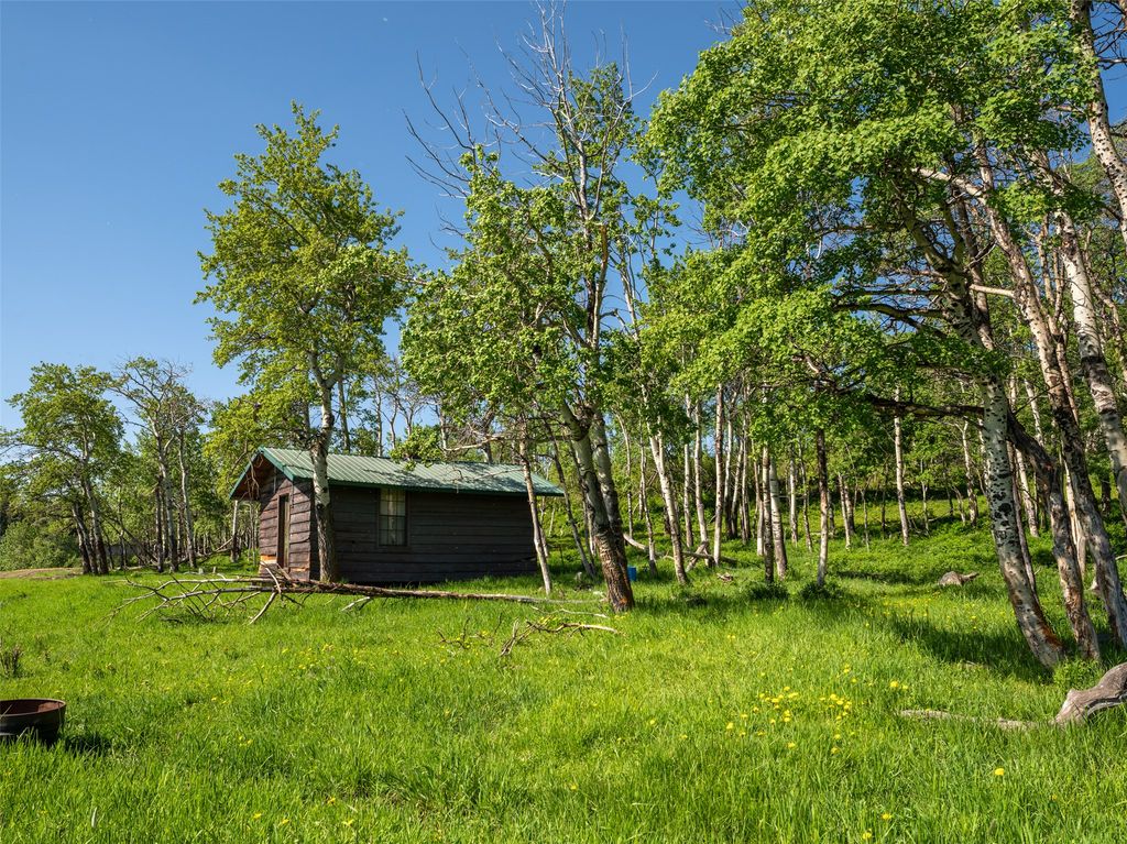 21001 Us Highway 2, East Glacier Park, MT 59434 photo 8