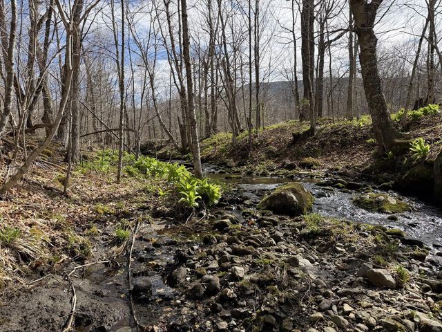 298 Biddle Road, Lincoln, VT 05443