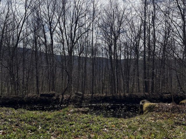 298 Biddle Road, Lincoln, VT 05443