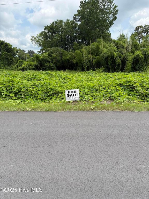 117 Jenkins Avenue, Maysville, NC 28555