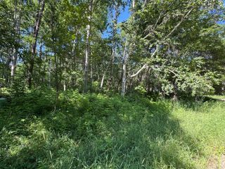TBD Cedar Street, Breezy Point, MN 56472