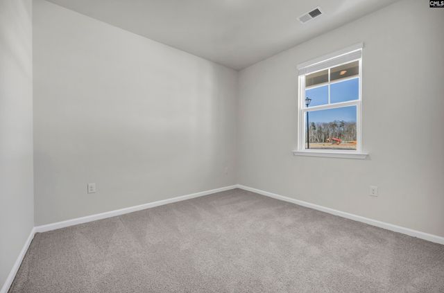 333 Babcock Way, Gilbert, SC 29054