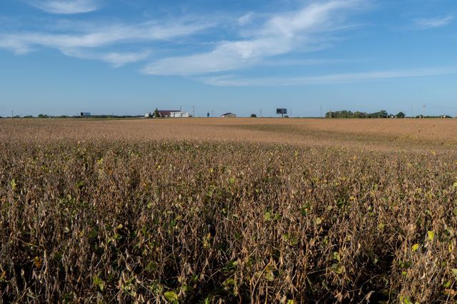 41474 460 Street, Perham, MN 56573