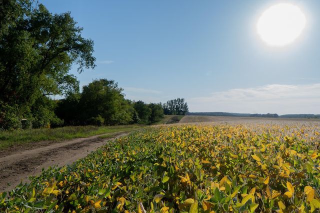 41474 460 Street, Perham, MN 56573