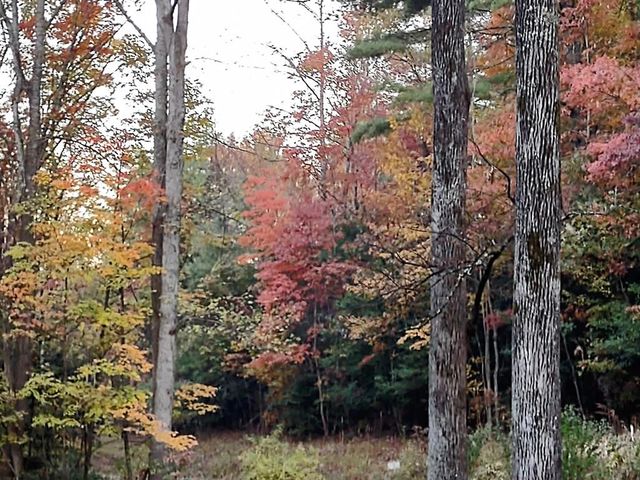 64 Timberline Road, Murphy, NC 28906