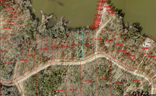 3176 Shadow Pine Dr, Larue, TX 75770