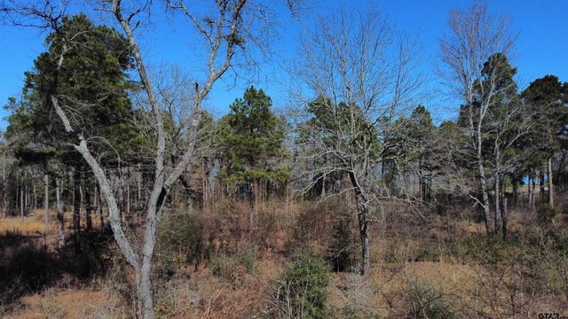 3176 Shadow Pine Dr, Larue, TX 75770