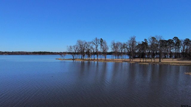 3176 Shadow Pine Dr, Larue, TX 75770