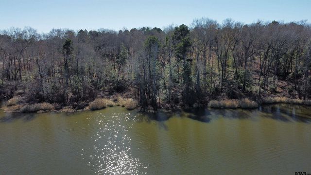 3176 Shadow Pine Dr, Larue, TX 75770
