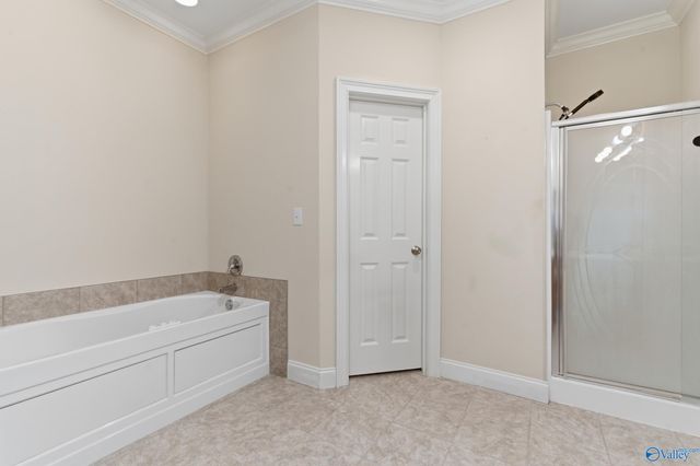 27857 Michael Lane, Toney, AL 35773