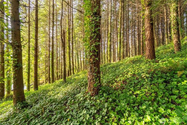 1450 Kulien Avenue, Centralia, WA 98531