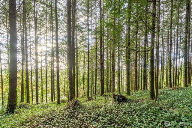 1450 Kulien Avenue, Centralia, WA 98531