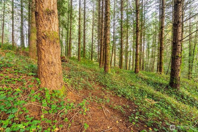 1450 Kulien Avenue, Centralia, WA 98531