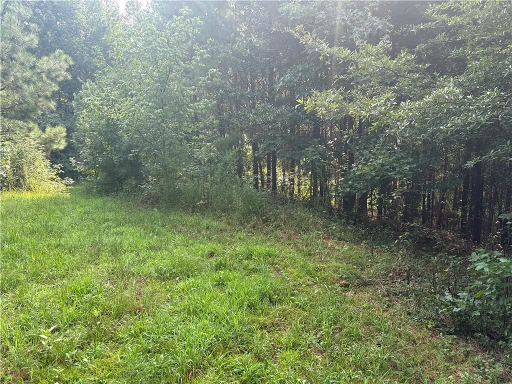 9160 Union Hill Road, Canton, GA 30115