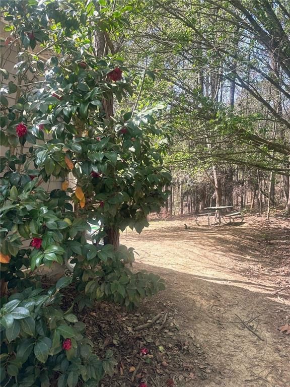 Image 22 of property listing at 2072 Amberly Crossing Lane, Dacula, GA 30019