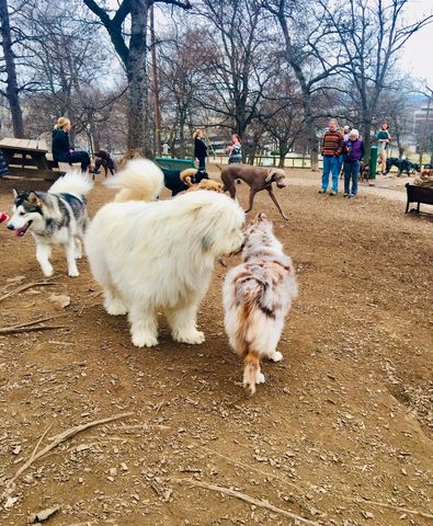 3000 Poston Ave Apt 503, Nashville, TN 37203