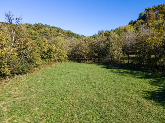 499 Tallent Rd, Pulaski, TN 38478