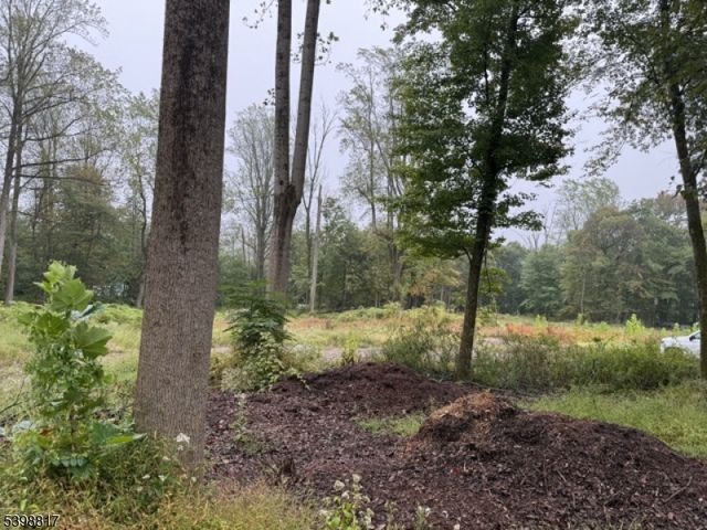 90 Century Ln, Watchung Boro, NJ 07069